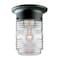 Westinghouse Westinghouse Matte Clear Porch Light 66919 - alternate 1